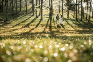 Forest hide-away wedding during pandemic