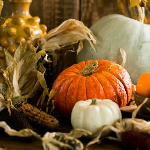 happy thanksgiving 2025